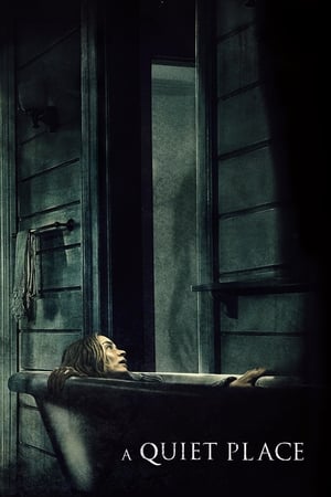 A Quiet Place 2018 Hindi Dual Audio 300MB
