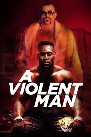 A Violent Man 2017 Hindi Dual Audio [960MB]