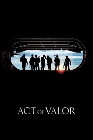 Act of Valor (2012) Hindi Dual Audio 390MB