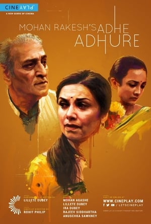 Adhe Adhure 2017 Full Movie [880MB] Download