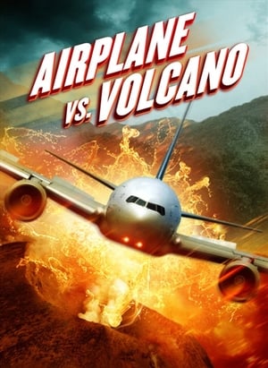 Airplane vs. Volcano (2014) Hindi Dual Audio [800MB]