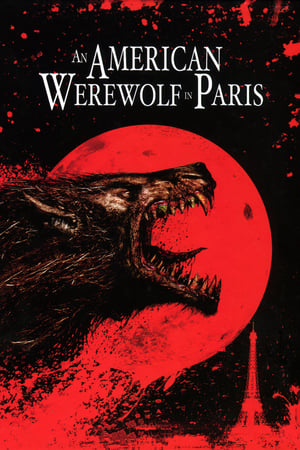 An American Werewolf in Paris 1997 Hindi Dual Audio [860MB]