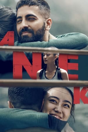 Anek 2022 Hindi Movie – 480p