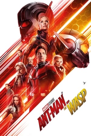 Ant-Man and the Wasp 2018 Movie (English) [300MB]