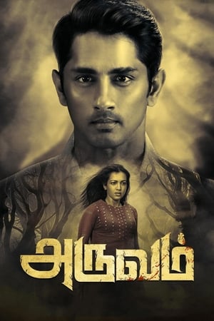 Aruvam (2019) (Hindi – Tamil) Dual Audio 400MB