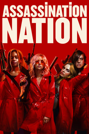 Assassination Nation (2018) Hindi Dual Audio [940MB]