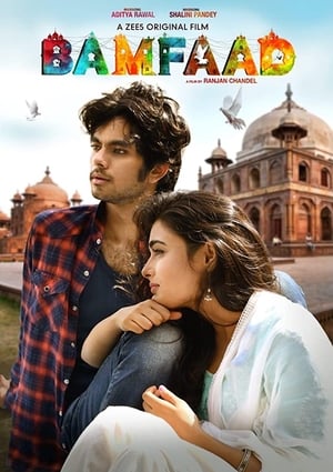 Bamfaad 2020 Hindi Movie [790MB]