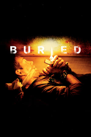 Buried (2010) Hindi Dual Audio 350MB