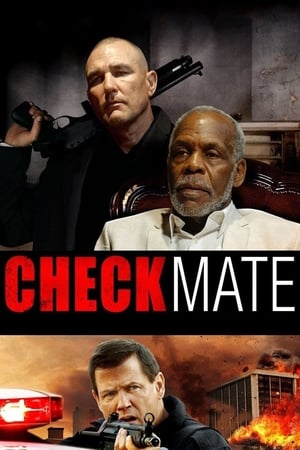 Checkmate (2015) 300MB Hindi Dual Audio Download