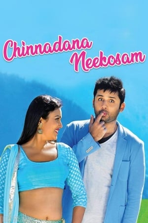 Chinnadana Nee Kosam 2014 Hindi Dual Audio 400MB
