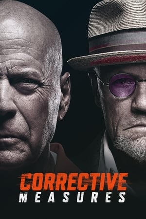 Corrective Measures 2022 Hindi Dual Audio – – 480p
