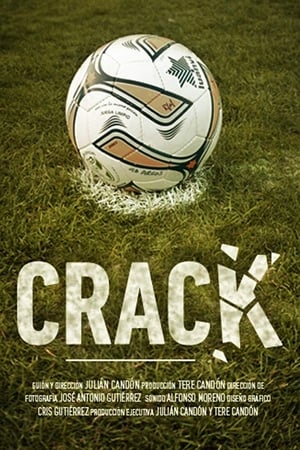 Crack 2017 Hindi Dubbed [900MB]