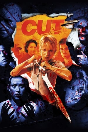 Cut (2000) Hindi Dual Audio 300MB