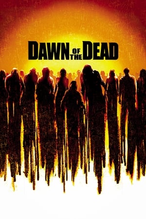 Dawn of the Dead (2004) Hindi Dual Audio Movie - 1GB