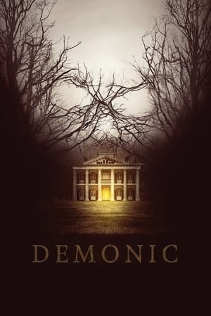 Demonic (2015) Hindi Dual Audio [800MB]