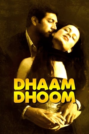 Dhaam Dhoom 2008 Dual Audio [Hindi - Tamil] [1.3GB]