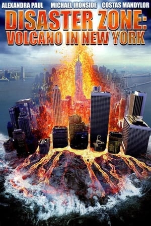Disaster Zone Volcano in New York 2006 Hindi Dual Audio [860MB]