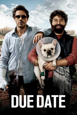 Due Date (2010) Hindi Dual Audio [850MB]