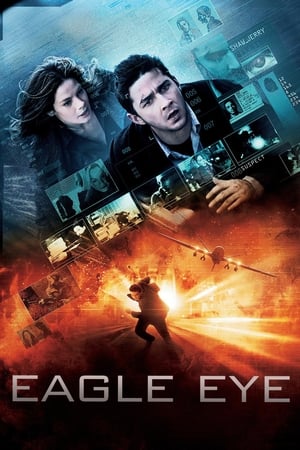 Eagle Eye (2008) Hindi Dual Audio 330MB ESubs