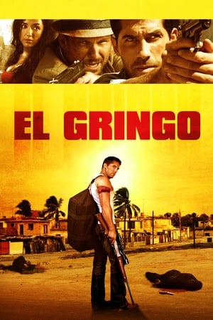 El Gringo (2012) Hindi Dual Audio [900MB]