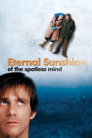 Eternal Sunshine Of The Spotless Mind 2004 Hindi Dual Audio [1.8GB]