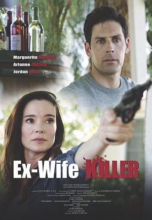 Ex-Wife Killer (2017) Hindi Dual Audio 300MB