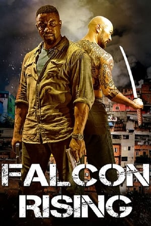 Falcon Rising (2014) Hindi Dual Audio [980MB]