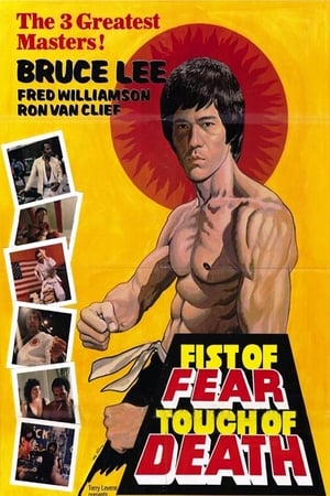 Fist of Fear Touch of Death 1980 Hindi Dual Audio [1GB]