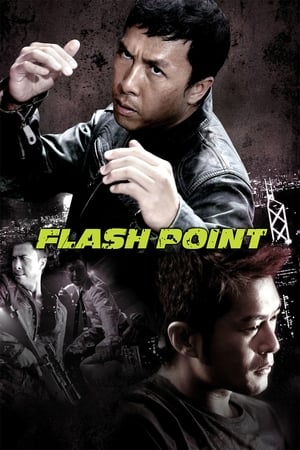 Flash Point (2007) Hindi Dual Audio [1GB]
