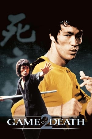 Game of Death II (1981) Dual Audio Hindi Movie - 1.1GB