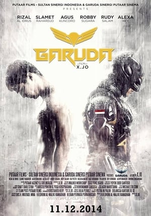 Garuda Superhero (2015) Hindi Dubbed 300MB
