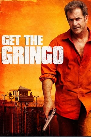 Get the Gringo (2012) Hindi Dual Audio 300MB