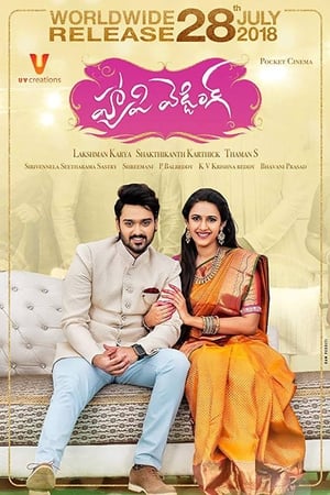 Happy Wedding (2018) (Hindi - Telugu) Dual Audio 450MB