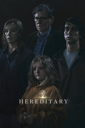 Hereditary 2018 Hindi Dual Audio – 480p