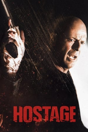 Hostage 2005 Hindi Dual Audio 380MB