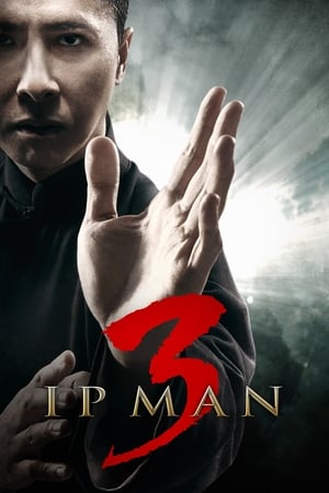 Ip Man 3 (2015) Hindi Dual Audio 400MB
