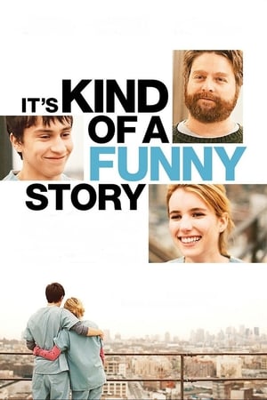 It's Kind of a Funny Story (2010) Hindi Dual Audio [950MB] ESubs