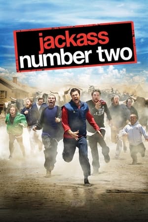Jackass Number Two (2006) Hindi Dual Audio [950MB]