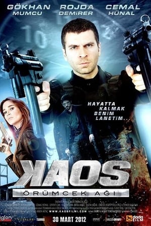 Kaos: Örümcek Agi (2012) Hindi Dual Audio – 480p