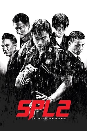 Kill Zone 2 (2015) Hindi Dual Audio 400MB