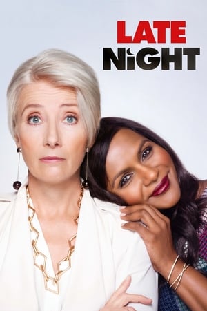 Late Night 2019 Hindi Dual Audio [940MB]