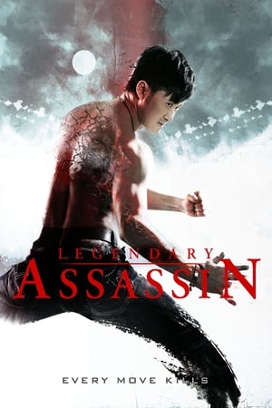 Legendary Assassin (2008) Hindi Dual Audio 300MB