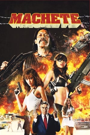 Machete 2010 Hindi Dual Audio [990MB]