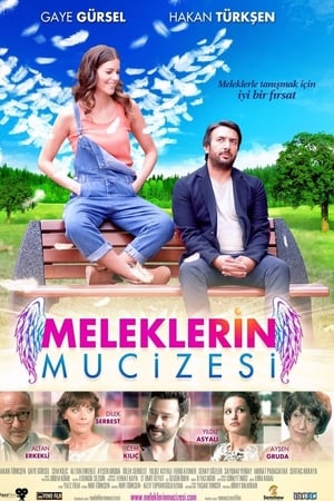 Meleklerin mucizesi (2014) Hindi Dual Audio 280MB
