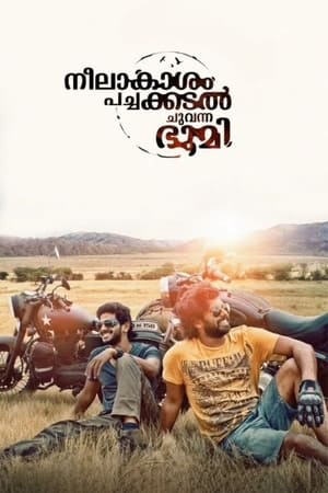 Neelakasham Pachakadal Chuvanna Bhoomi (2013) Hindi Dubbed 450MB