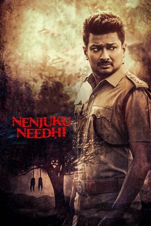 Nenjuku Needhi 2022 Hindi (HQ-Dub) – 480p