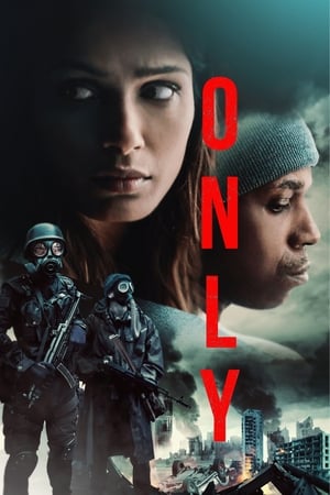 Only (2019) Hindi Dual Audio – 480p
