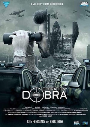 Operation Cobra (2019) Season 1 Hindi & 480p [Complete]