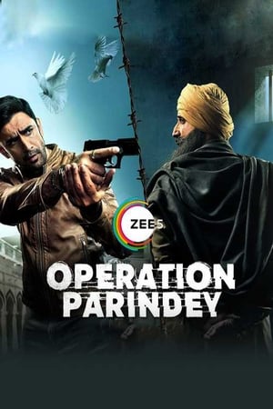 Operation Parindey 2020 Hindi Movie - [200MB]
