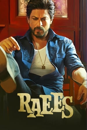 Raees (2017) Full Movie [1.0GB] Download